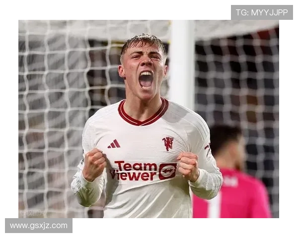 内维尔力赞谢什科曼联风进球神 内维尔力赞谢什科曼联风进球神